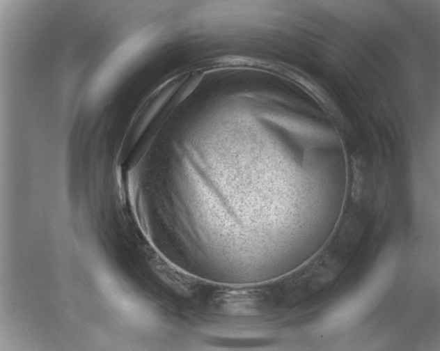 X0000078861198200611201305