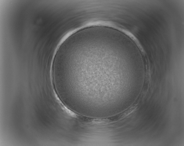 X0000078861199200611201305