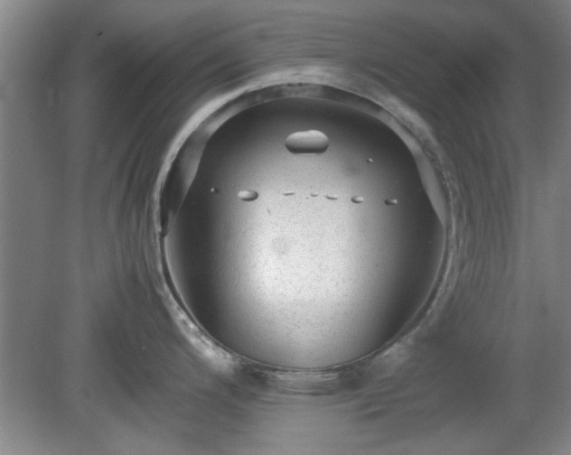 X0000078861200200611201305