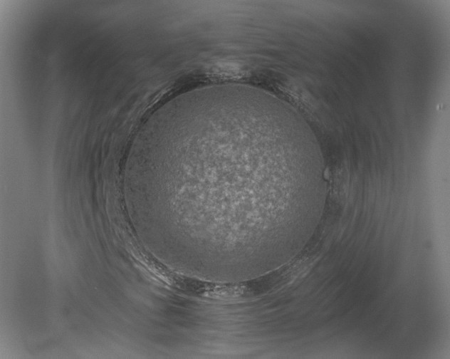 X0000078861201200611201304