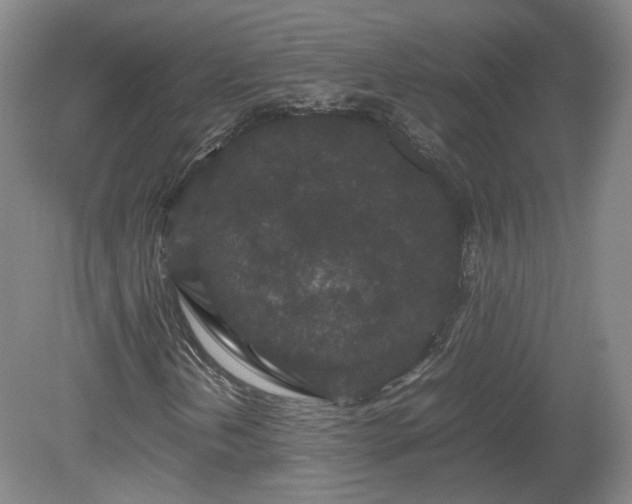 X0000078861202200611201304