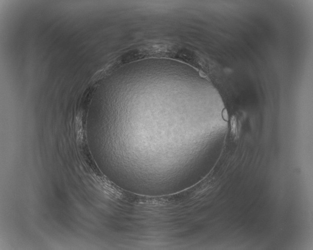 X0000078861203200611201304