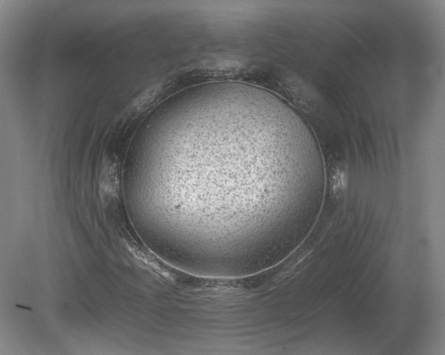 X0000078861204200611201304