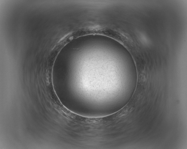 X0000078861205200611201304