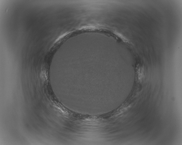 X0000078861206200611201304