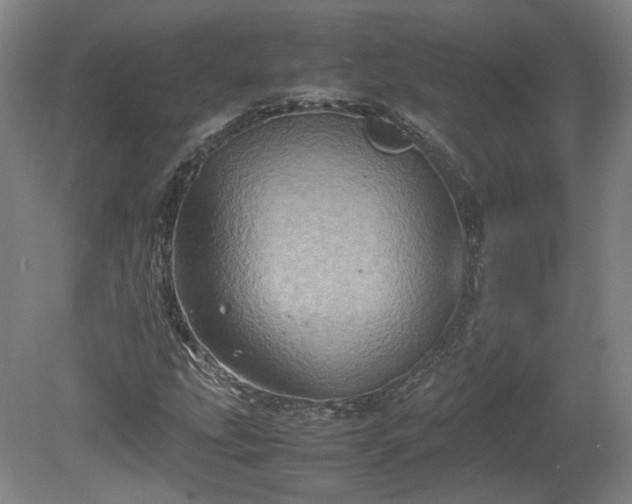 X0000078861207200611201304