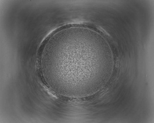 X0000078861208200611201304