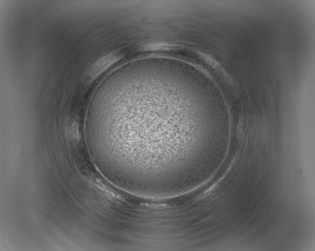 X0000078861209200611201304