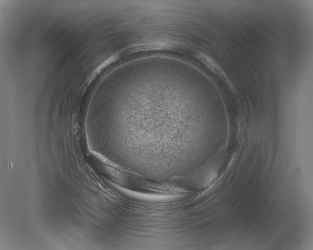 X0000078861210200611201304