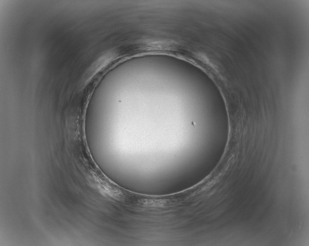 X0000078861211200611201304