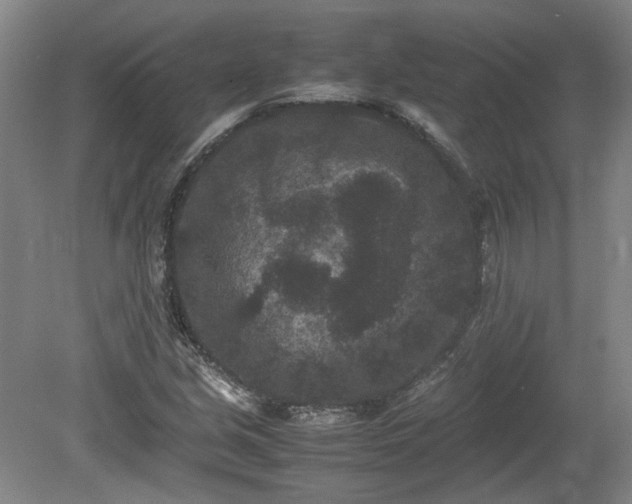 X0000078861213200611201304