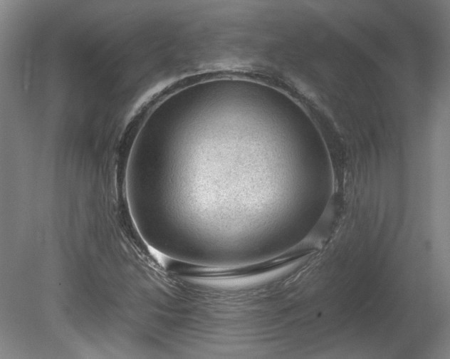 X0000078861214200611201304