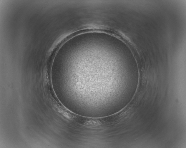 X0000078861215200611201304