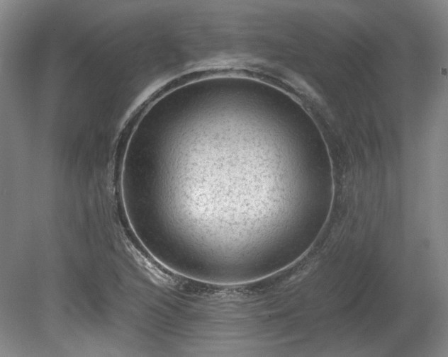 X0000078861216200611201305