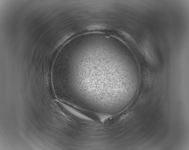 X0000078861217200611201305