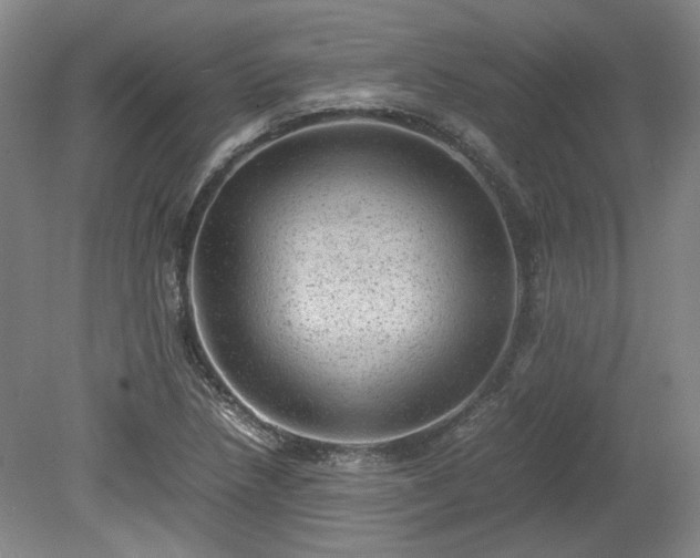 X0000078861218200611201305