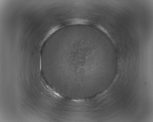 X0000078861219200611201305