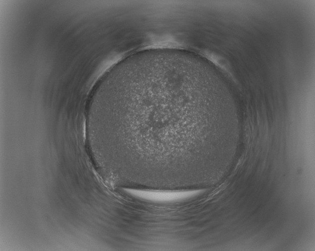 X0000078861221200611201305