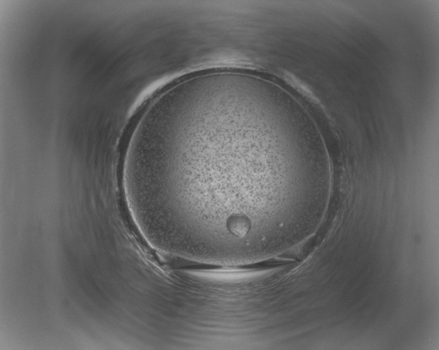 X0000078861222200611201305