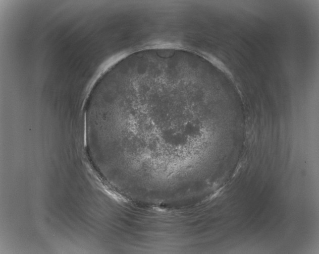 X0000078861223200611201305