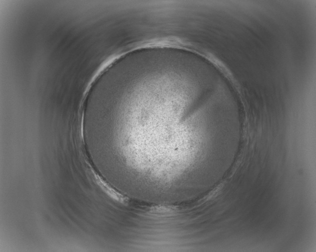 X0000078861224200611201305