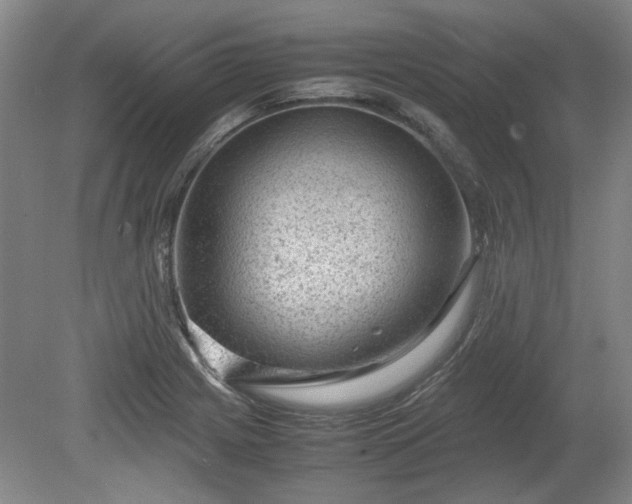 X0000078861225200611201305