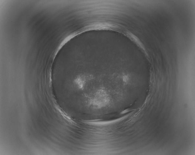 X0000078861226200611201305