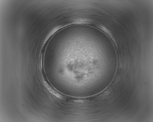 X0000078861227200611201305