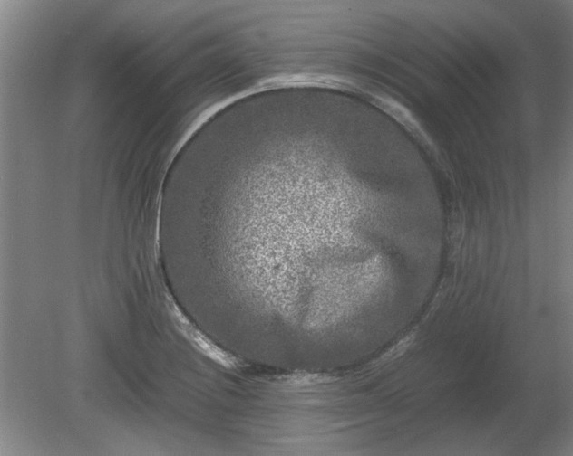 X0000078861228200611201305