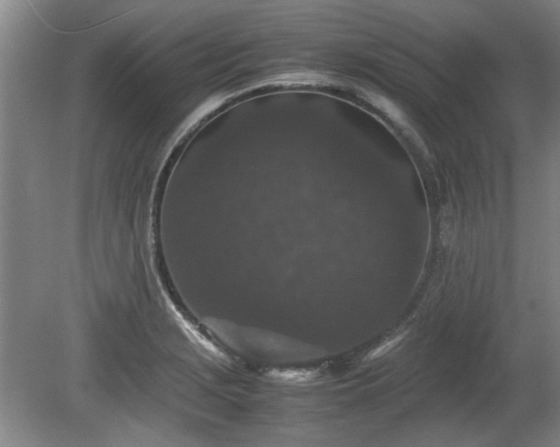 X0000078861229200611201305