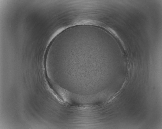 X0000078861230200611201305