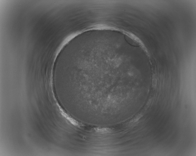 X0000078861231200611201305