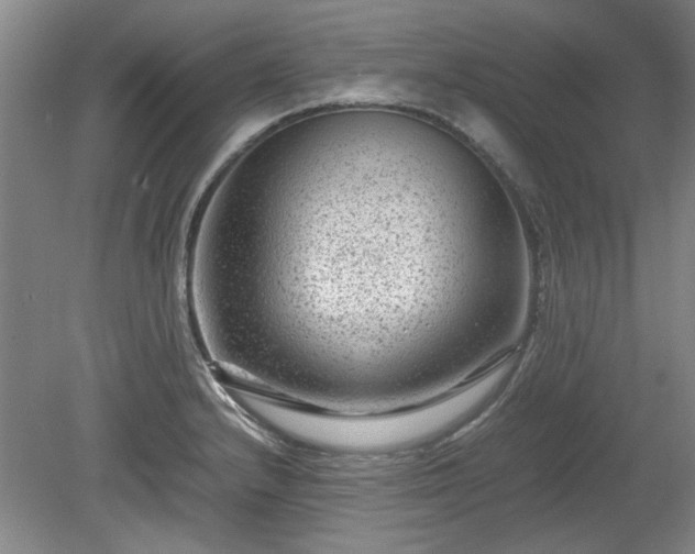 X0000078861232200611201305