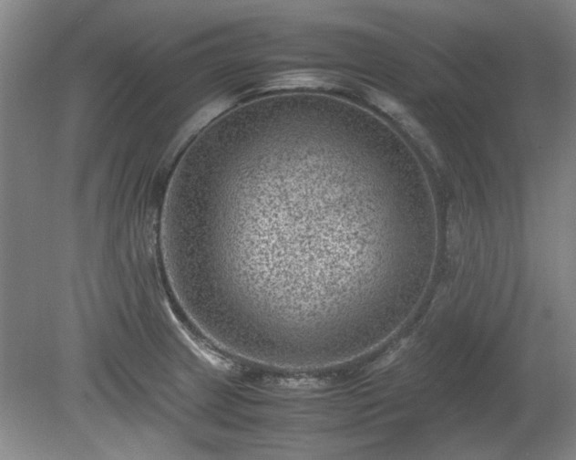 X0000078861233200611201305