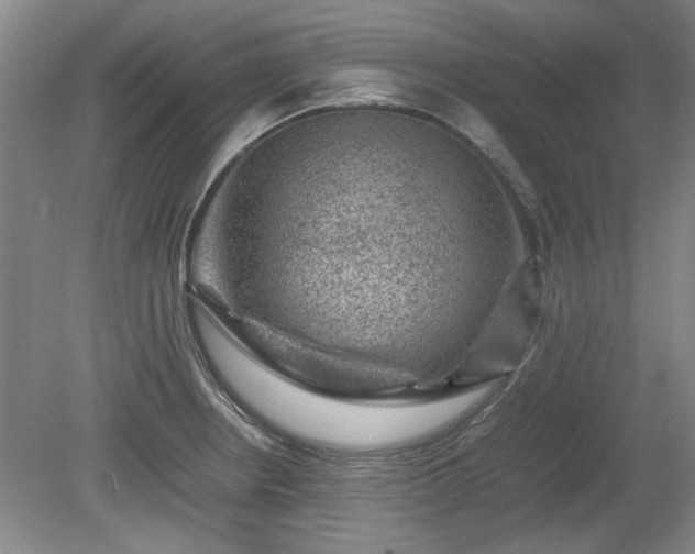 X0000078861234200611201305