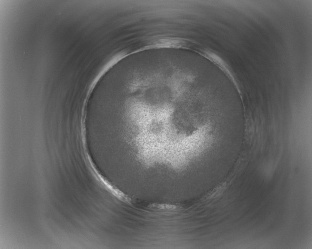 X0000078861235200611201305