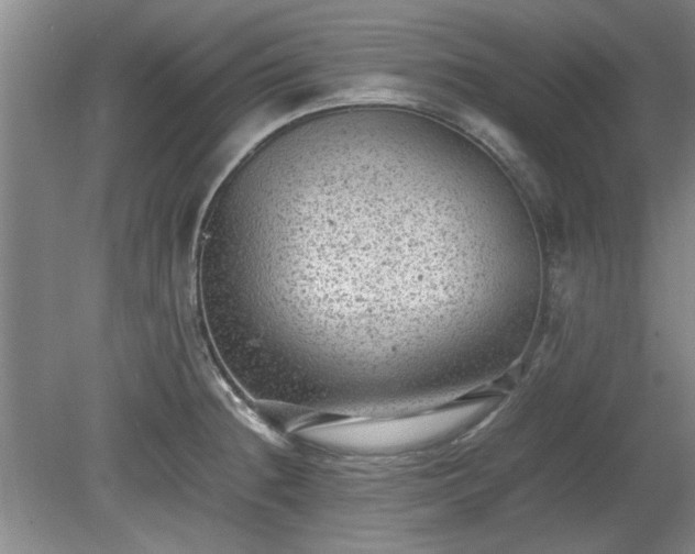 X0000078861236200611201305