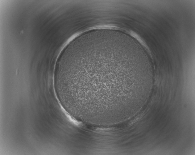 X0000078861237200611201305