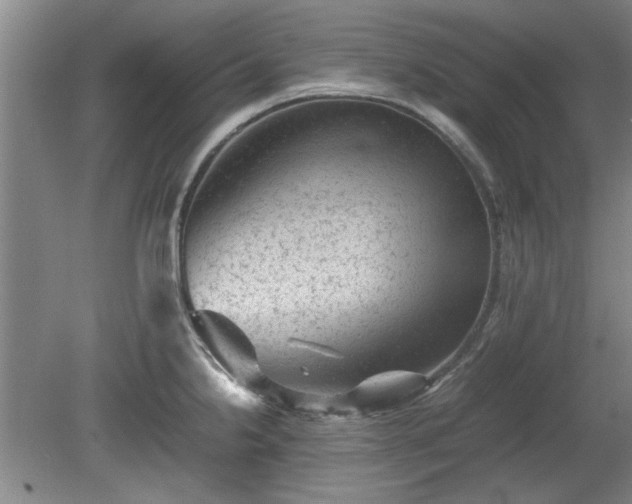 X0000078861238200611201305