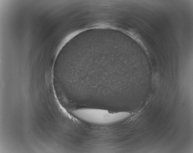 X0000078861239200611201305