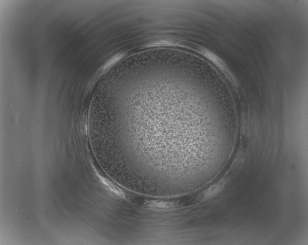 X0000078861241200611201305