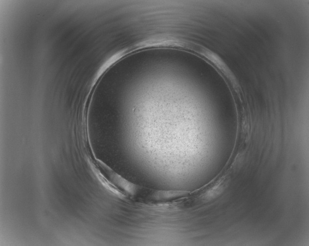 X0000078861242200611201305