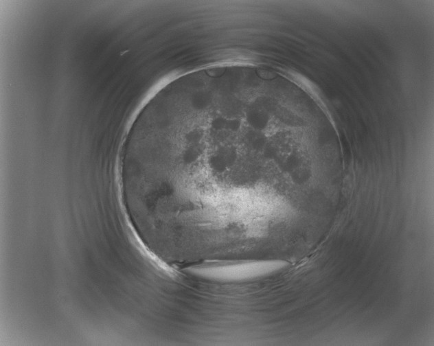 X0000078861243200611201305