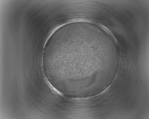 X0000078861244200611201305