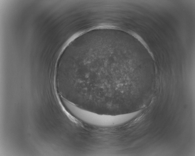 X0000078861245200611201305