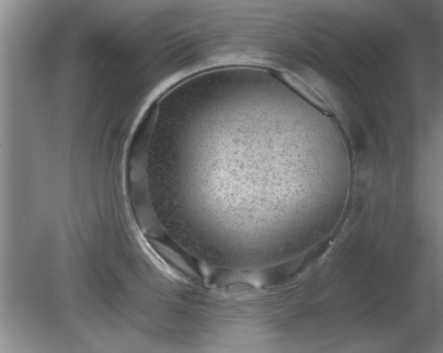 X0000078861246200611201305