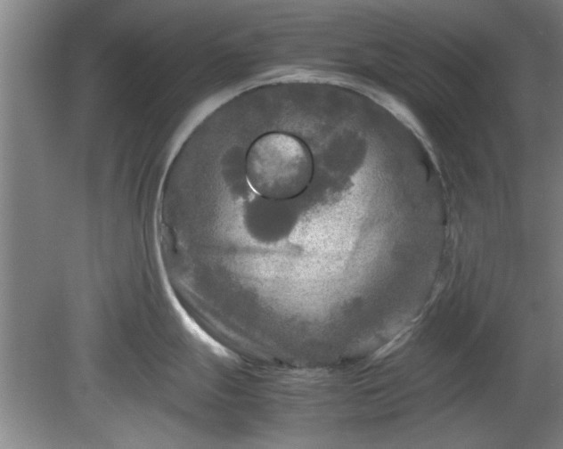 X0000078861247200611201305