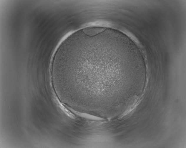 X0000078861248200611201305