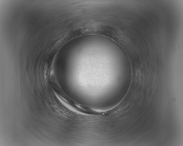 X0000078861250200611201304