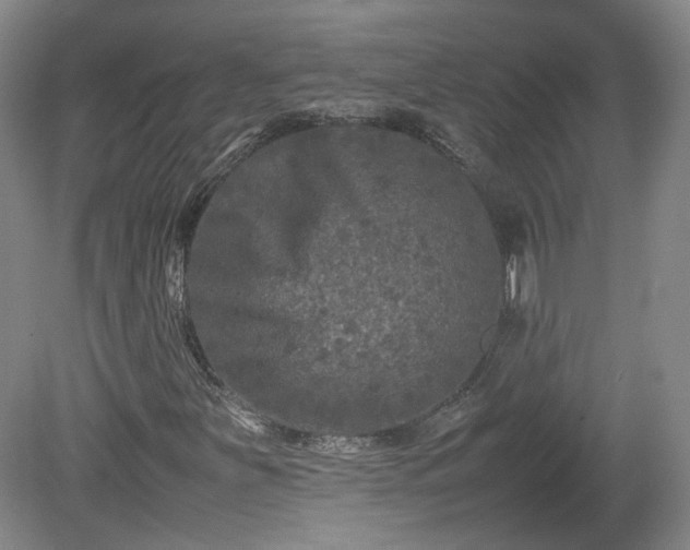 X0000078861251200611201304